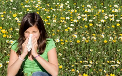 Relief From the Symptoms of Seasonal Allergies