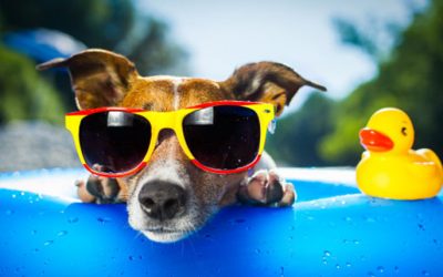 Sunwear is Good Eye Health Care:  Six reasons you should wear sunglasses more often.